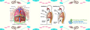 11 benefits of Diaphragmatic Breathing
