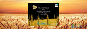 Fields of Gold Sting Karaoke Instrumental in Female Key/ Baritone for Males